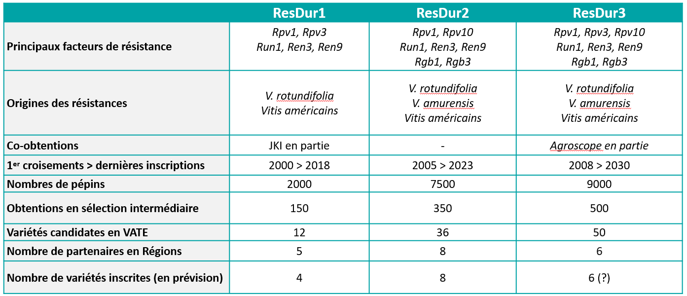 Tableau bilan resdur