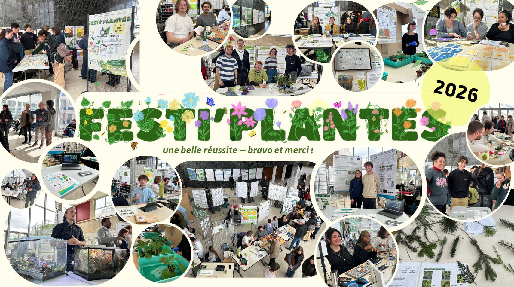 Festiplante ensemble