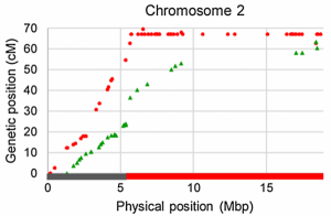 Chromosome 2
