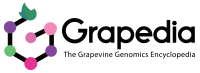 Logo Grapedia