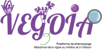 Logo Vegoia